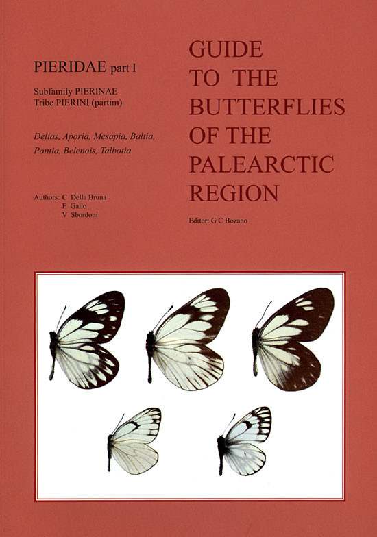 GUIDE TO THE BUTTERFLIES OF THE PALEARCTIC REGION