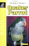 QUAKER PARROT