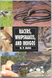 RACERS, WHIPSNAKES, AND INDIGOS