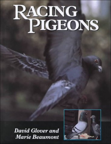 RACING PIGEONS+++