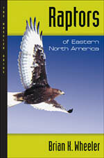 RAPTORS OF EASTERN NORTH AMERICA