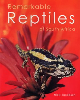 REMARKABLE REPTILES OF SOUTH AFRICA