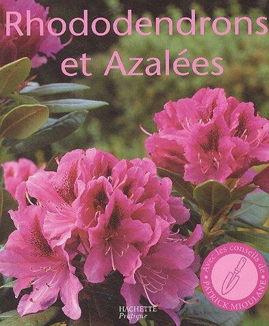 RHODODENDRONS ET AZALEES