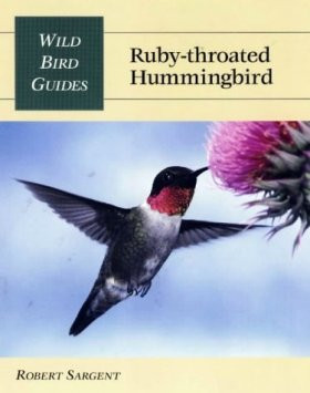 RUBY-THROATED HUMMINGBIRD