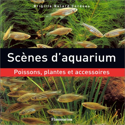 SCENES D AQUARIUM