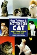 SCOTTISH FOLD CAT