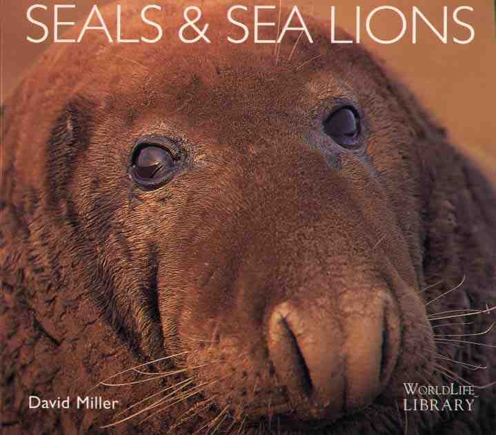 SEALS & SEA LIONS