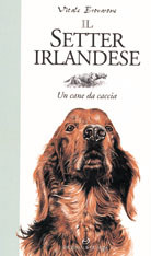 SETTER IRLANDESE