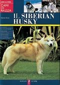 SIBERIAN HUSKY+++