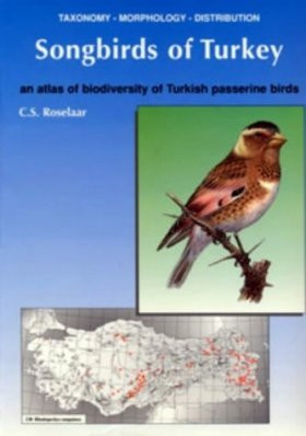 SONGBIRDS OF TURKEY