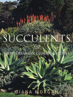 SUCCULENTS FOR MEDITERRANEAN