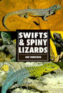 SWIFTS & SPINY LIZARDS