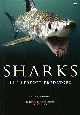 SHARKS