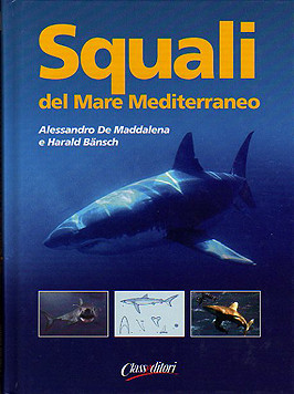 SQUALI DEL MARE MEDITERRANEO