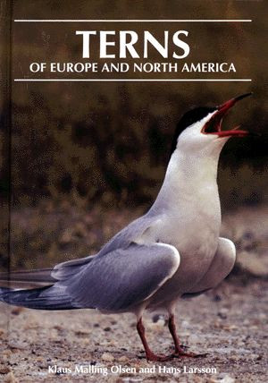 TERNS OF EUROPE AND NORTH AMERICA