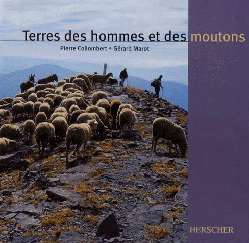 TERRES DES HOMMES ET DES MOUTONS