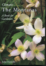CLEMATIS. THE MONTANAS