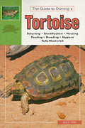 TORTOISE GUIDE TO OWNING
