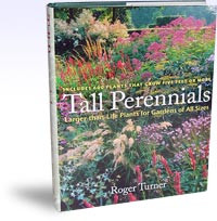 TALL PERENNIALS