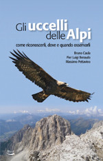 UCCELLI DELLE ALPI