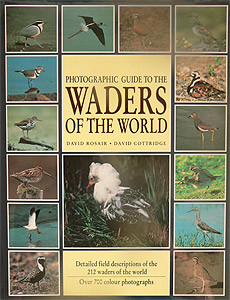WADERS OF THE WORLD