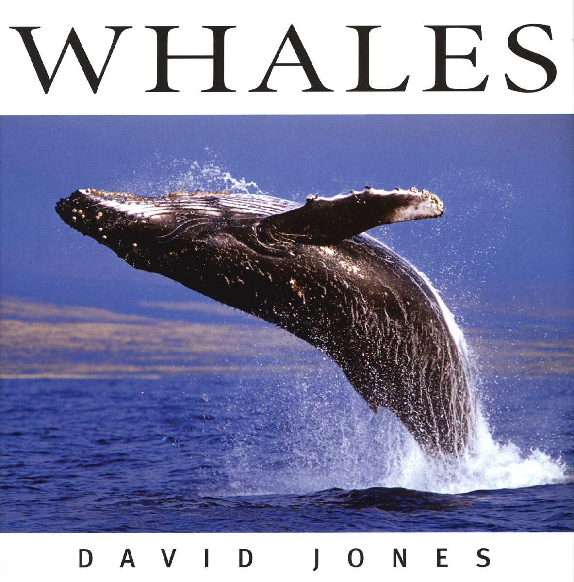 WHALES