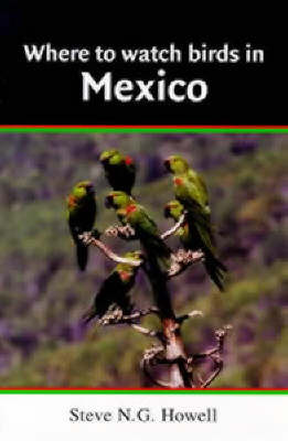 WHERE TO WATCH BIRDS IN MEXICO
