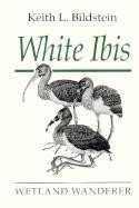 WHITE IBIS