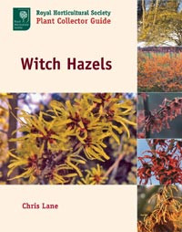 WITCH HAZELS