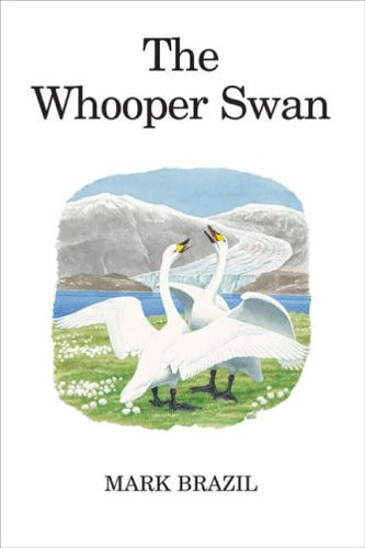 WOOPER SWAN