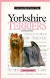 YORKSHIRE TERRIERS