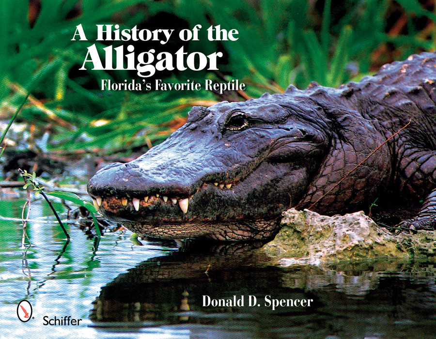 A HISTORY OF ALLIGATOR