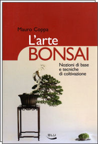 ARTE BONSAI