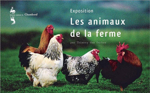 ANIMAUX DE LA FERME