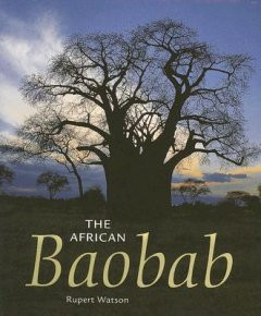 AFRICAN BAOBAB