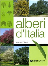 ALBERI D ITALIA
