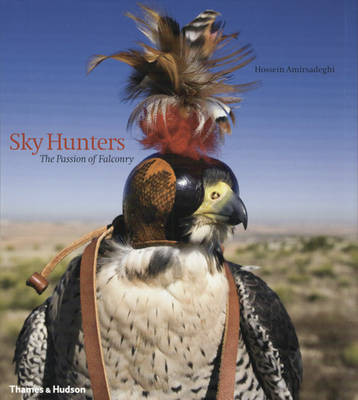 SKY HUNTERS