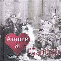 AMORE DI GATTINI