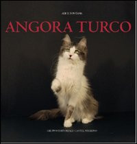 ANGORA TURCO