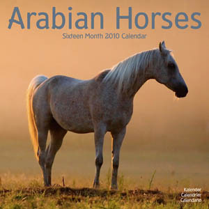 ARABIAN HORSES 2010