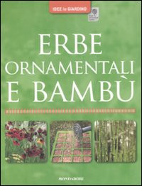 ERBE ORNAMENTALI E BAMBU 