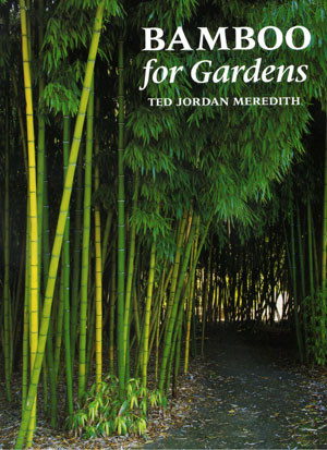 BAMBOO FOR GARDENS.