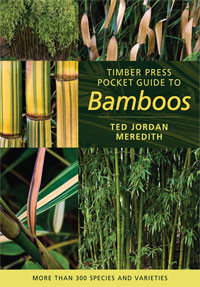 POCKET GUIDE TO BAMBOOS