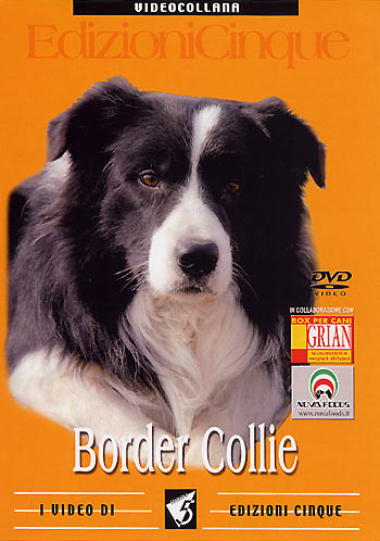 BORDER COLLIE DVD