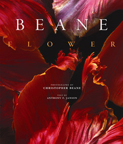 BEANE FLOWER