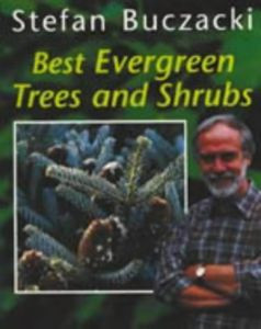 BEST EVERGREEN TREES AND SHRUBS+++