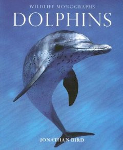 DOLPHINS