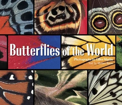 BUTTERFLIES OF THE WORLD
