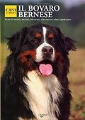 BOVARO BERNESE