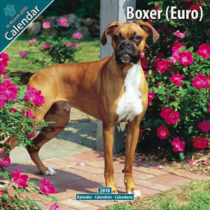 BOXER 2010